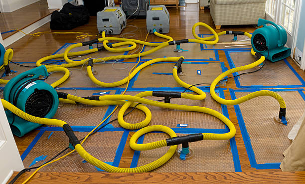 Professional Crawl Space Water Removal technician working in Spring Hope, NC