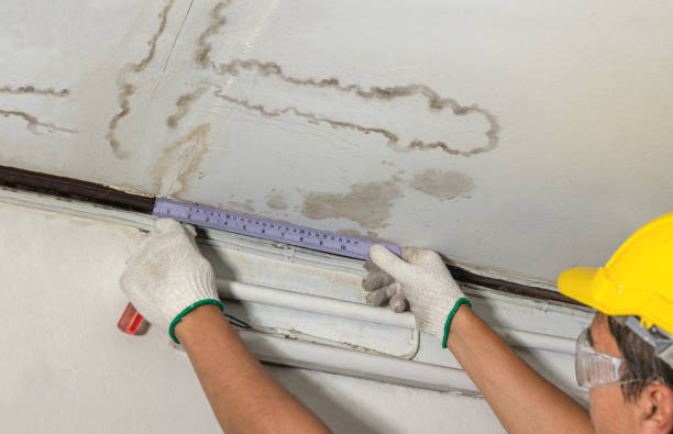 Affordable Water Damage Repair solutions in Spring Hope, NC